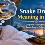 Snake Dream Meaning in Islam Complete Interpretation According to Scholars